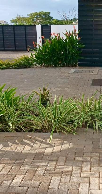 3Bed Villa With Private Pool And Rooftop With A Sea View In Flic-En-Flac, Mauritius Exteriér fotografie